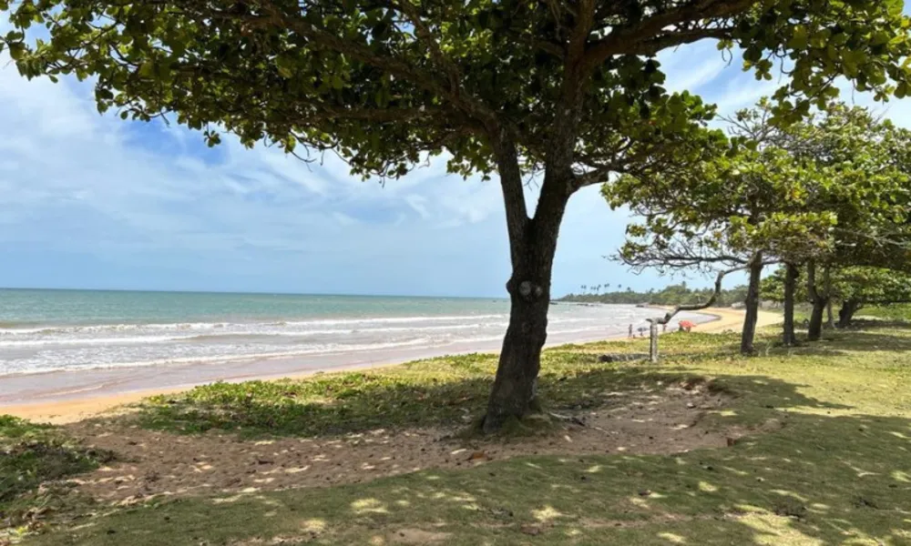 Aracruz tem shows de graça até o Carnaval