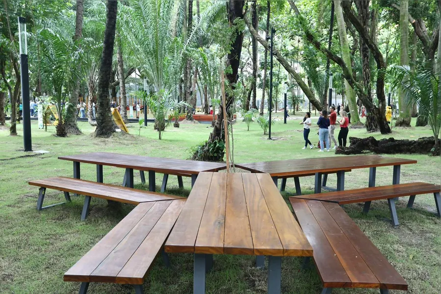 Parque da Tamarineira ganha 2ª etapa com estética leve e conexão com a natureza