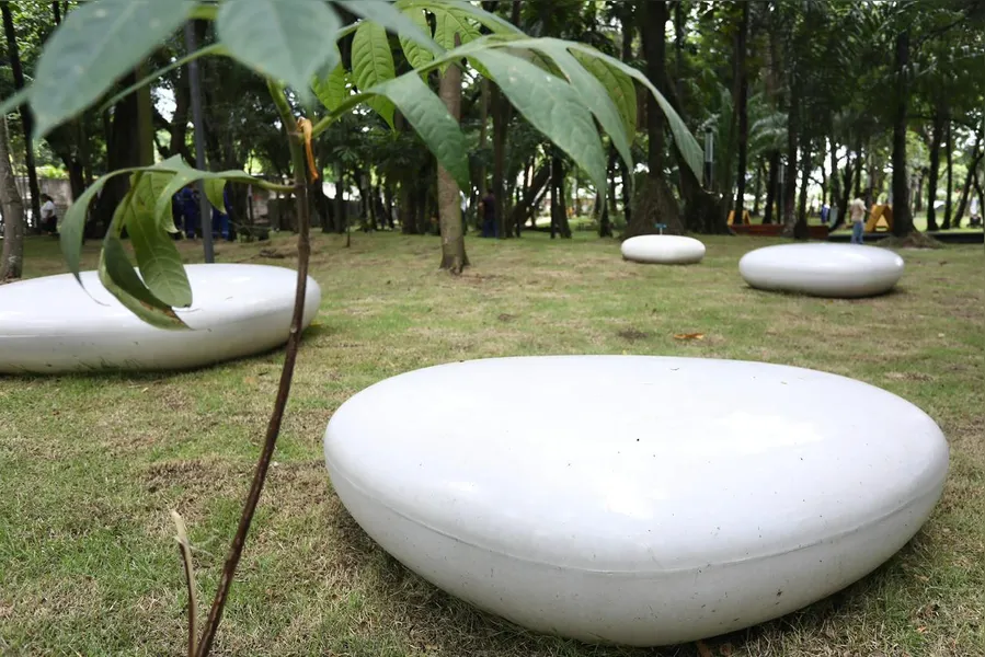 Parque da Tamarineira ganha 2ª etapa com estética leve e conexão com a natureza