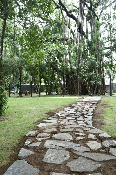 Parque da Tamarineira ganha 2ª etapa com estética leve e conexão com a natureza