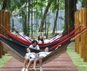 Imagem ilustrativa da imagem Parque da Tamarineira ganha 2ª etapa com estética leve e conexão com a natureza