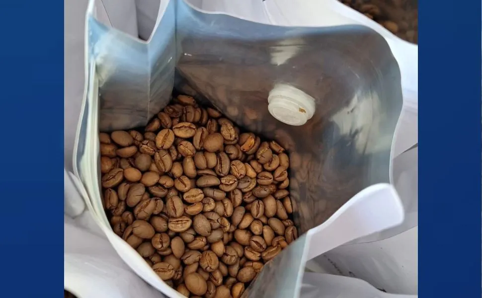 Engenheiras mudam a rota profissional e investem no café