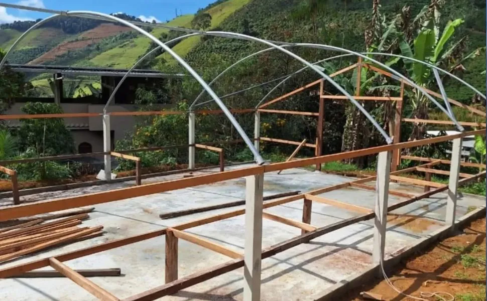Engenheiras mudam a rota profissional e investem no café