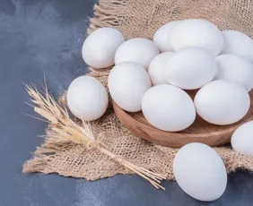 Imagem ilustrativa da imagem Granja no Espírito Santo produz 6 milhões de ovos por mês
