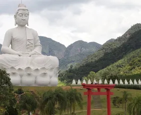 Imagem ilustrativa da imagem Conheça Ibiraçu: experiências imperdíveis em visita ao Grande Buda
