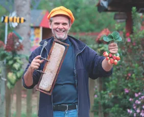 Imagem ilustrativa da imagem Diversão com passeio de balão e colheita de morango nas Montanhas
