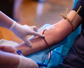 Imagem ilustrativa da imagem Estudo diz que doar sangue traz benefício à própria saúde