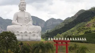 Imagem ilustrativa da imagem Conheça Ibiraçu: experiências imperdíveis em visita ao Grande Buda
