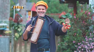 Imagem ilustrativa da imagem Diversão com passeio de balão e colheita de morango nas Montanhas