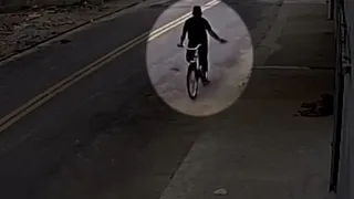 Imagem ilustrativa da imagem Homem é investigado por envenenar um cachorro de rua em Colatina
