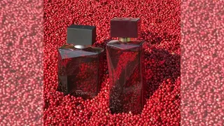 Imagem ilustrativa da imagem Pimenta-rosa do Espírito Santo é usada na fabricação de perfumes famosos