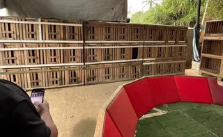 Imagem ilustrativa da imagem Polícia descobre local de rinha de galos e homem é detido na Serra; veja vídeo