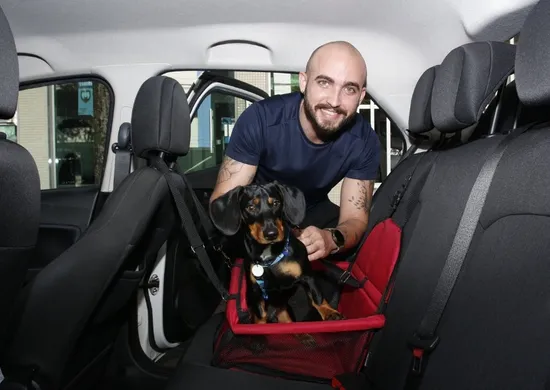 Imagem ilustrativa da imagem Transportar pet no carro pode render multa ao motorista; saiba quanto