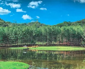 Imagem ilustrativa da imagem Rota das Cavernas e Plantas Medicinais: turismo científico em Domingos Martins