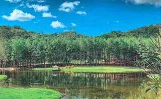 Imagem ilustrativa da imagem Rota das Cavernas e Plantas Medicinais: turismo científico em Domingos Martins