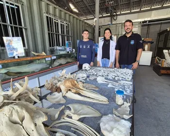 Imagem ilustrativa da imagem Guarapari tem maior museu de animais marinhos do País