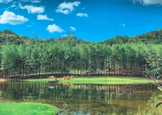 Imagem ilustrativa da imagem Rota das Cavernas e Plantas Medicinais: turismo científico em Domingos Martins