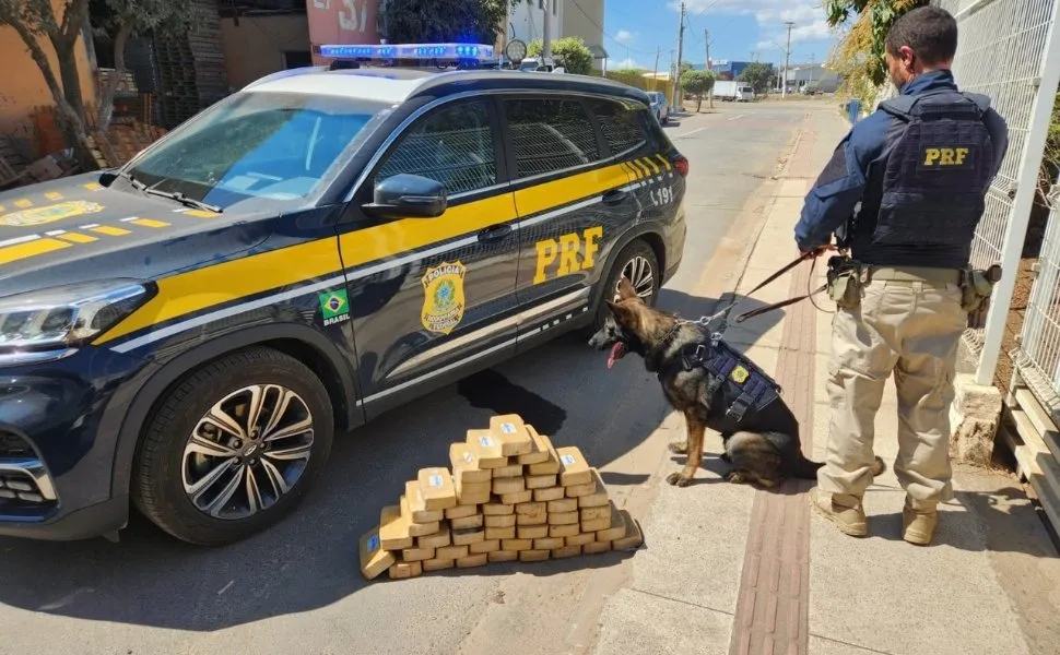 Imagem ilustrativa da imagem PRF apreende 50 tabletes de pasta base de cocaína em Baixo Guandu