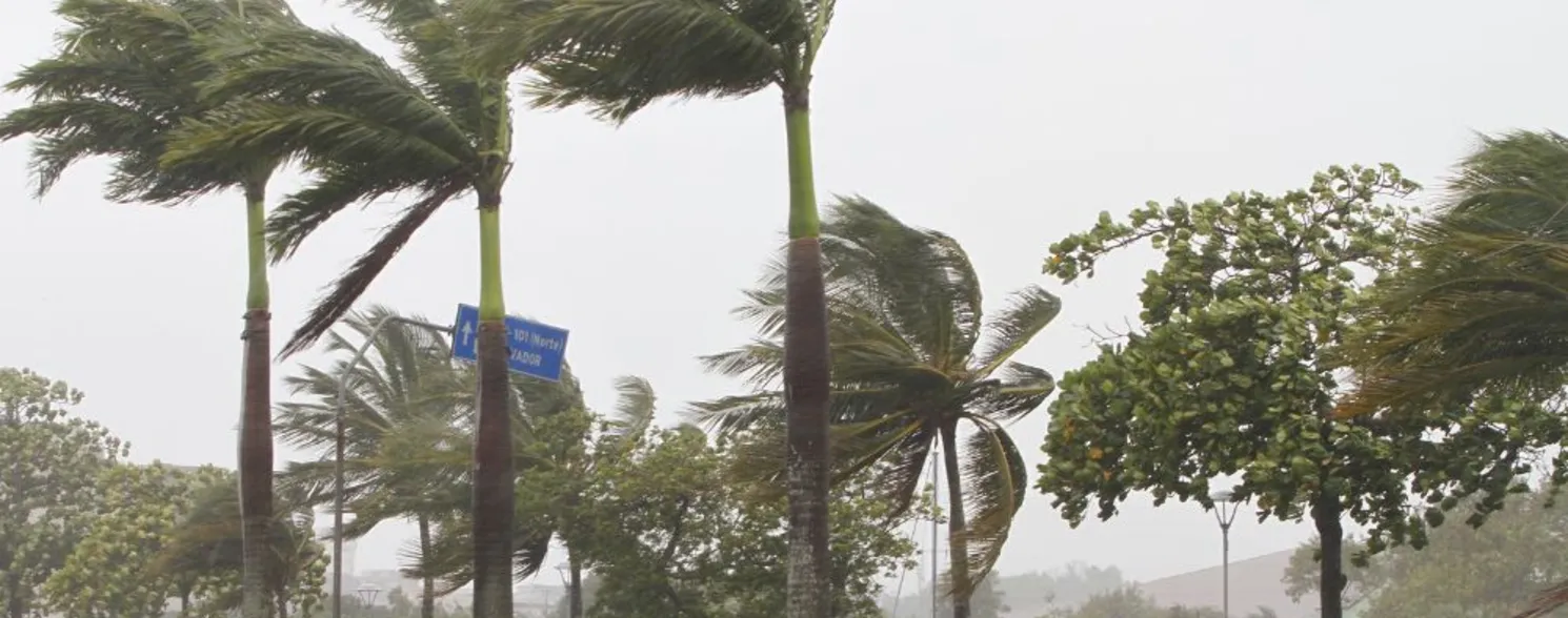 Imagem ilustrativa da imagem Região Sul e Central do ES recebe alerta de ventos intensos e vendavais