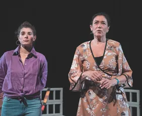 Imagem ilustrativa da imagem Fim de semana em Vitória tem peça com Lilia Cabral, rock e forró