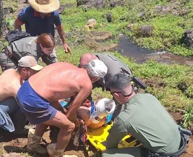 Imagem ilustrativa da imagem Homem sofre traumatismo craniano após cair de cavalo na Região Serrana do ES