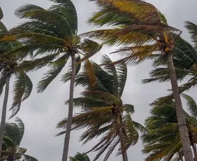 Imagem ilustrativa da imagem Inmet alerta para ventos de até 60 km/h no litoral do Espírito Santo