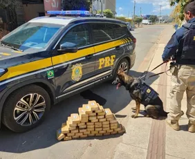 Imagem ilustrativa da imagem PRF apreende 50 tabletes de pasta base de cocaína em Baixo Guandu