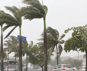 Imagem ilustrativa da imagem Região Sul e Central do ES recebe alerta de ventos intensos e vendavais