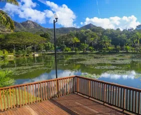 Imagem ilustrativa da imagem Serra inaugura parque revitalizado com cenários instagramáveis