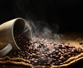 Imagem ilustrativa da imagem Nova safra indica aumento de produção no café do ES