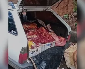 Imagem ilustrativa da imagem Polícia apreende 390 kg de carne de cavalo que seriam para churrasquinhos no ES