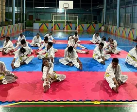 Imagem ilustrativa da imagem Taekwondo Solidário abre nova temporada em Vitória