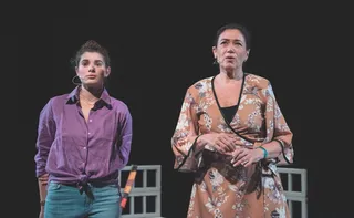 Imagem ilustrativa da imagem Fim de semana em Vitória tem peça com Lilia Cabral, rock e forró