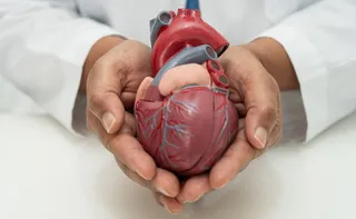 Imagem ilustrativa da imagem Nova diretriz prioriza saúde cardiovascular no tratamento da obesidade