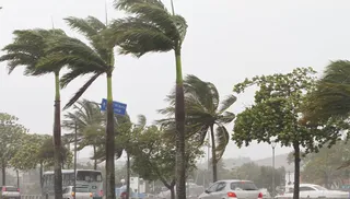 Imagem ilustrativa da imagem Região Sul e Central do ES recebe alerta de ventos intensos e vendavais