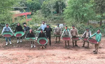 Imagem ilustrativa da imagem Café mais caro do Brasil é produzido em Domingos Martins