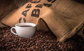 Imagem ilustrativa da imagem Cooperativas do ES se unem para resistir contra o 'tarifaço de Trump'