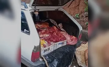 Imagem ilustrativa da imagem Polícia apreende 390 kg de carne de cavalo que seriam para churrasquinhos no ES