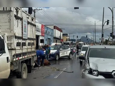 Imagem ilustrativa da imagem Acidente envolvendo cavalo e carro complica trânsito em Vila Velha