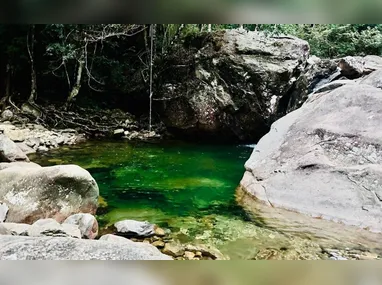 Diomedes, o “Didi”, no Magazzino Fioravante