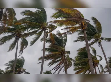 Imagem ilustrativa da imagem Alerta amarelo de vendaval para 71 municípios do ES neste sábado; veja quais