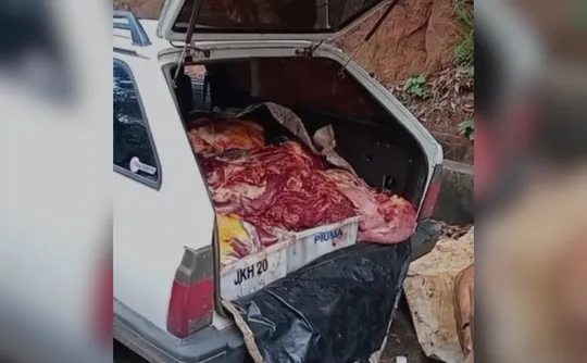 Imagem ilustrativa da imagem Polícia apreende 390 kg de carne de cavalo que seriam para churrasquinhos no ES