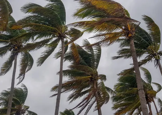 Imagem ilustrativa da imagem Vai esfriar? Três ciclones extratropicais podem afetar o Brasil em novembro