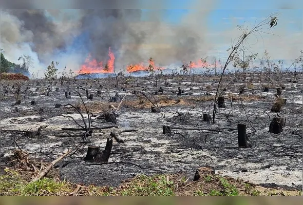 Suspeito seria o responsável por incêndios nos municípios de Linhares, Jaguaré e São Mateus, no Espírito Santo, e Nova Viçosa, na Bahia