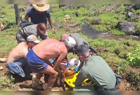 Após os primeiros procedimentos médicos no local, o homem foi transportado em estado grave para o o Hospital Estadual de Urgência e Emergência (HEUE), em Vitória