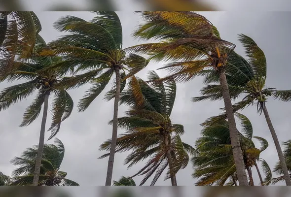 Rajadas de vento devem ficar entre 40 km/h e 60 km/h no litoral do Estado