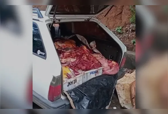 Homens foram flagrados transportando 390 quilos de carne de cavalo que seria vendida para açougues, restaurantes e churrasquinhos da Grande Vitória
