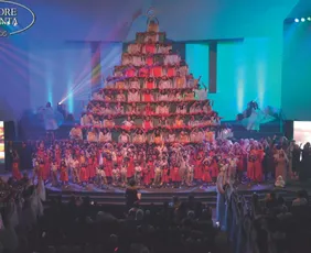 Imagem ilustrativa da imagem 3.600 ingressos para ver a “Árvore que Canta” em Vitória