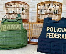 Imagem ilustrativa da imagem Aves furtadas de viatura do Ibama são recuperadas no Noroeste do ES
