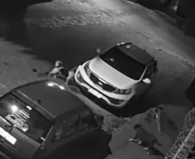 Imagem ilustrativa da imagem Cachorros atacam carro, destroem para-choque e deixam dona sem reação